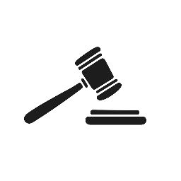 Rechtsanwältin Alexandra Nain